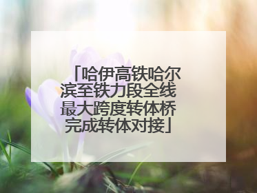 哈伊高铁哈尔滨至铁力段全线最大跨度转体桥完成转体对接