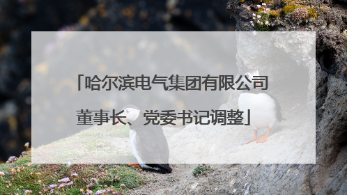 哈尔滨电气集团有限公司董事长、党委书记调整