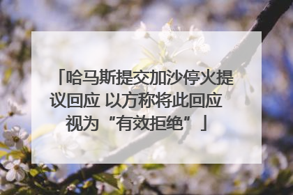 哈马斯提交加沙停火提议回应 以方称将此回应视为“有效拒绝”