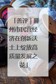 善评｜滕州市民营经济在创新沃土上绽放高质量发展之花