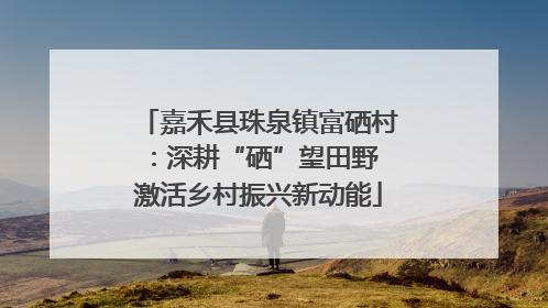 嘉禾县珠泉镇富硒村：深耕“硒”望田野 激活乡村振兴新动能