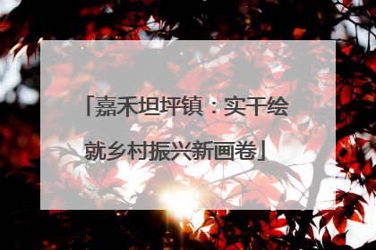 嘉禾坦坪镇：实干绘就乡村振兴新画卷