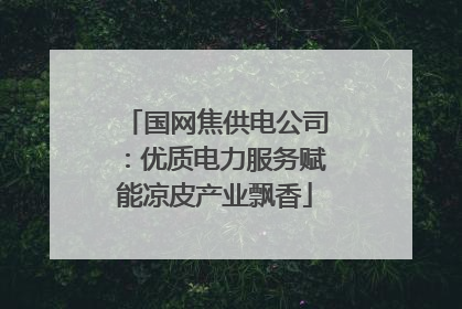 国网焦供电公司：优质电力服务赋能凉皮产业飘香