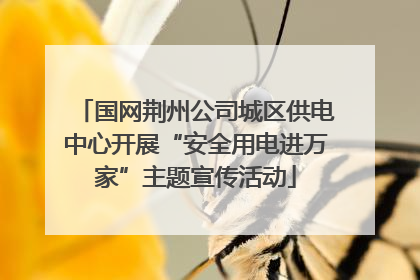 国网荆州公司城区供电中心开展“安全用电进万家”主题宣传活动