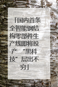 国内首条全智能钢结构零部件生产线即将投产 “黑科技”层出不穷