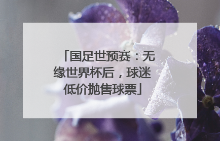 国足世预赛：无缘世界杯后，球迷低价抛售球票