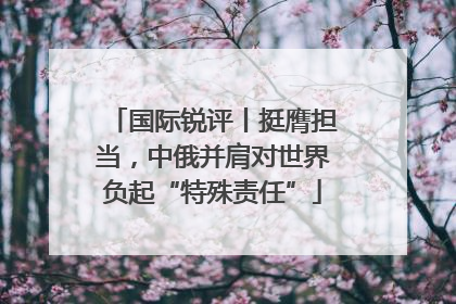 国际锐评丨挺膺担当，中俄并肩对世界负起“特殊责任”
