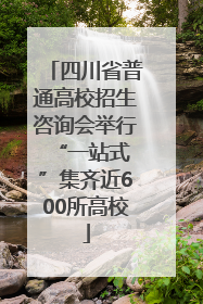 四川省普通高校招生咨询会举行 “一站式”集齐近600所高校