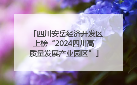 四川安岳经济开发区上榜“2024四川高质量发展产业园区”