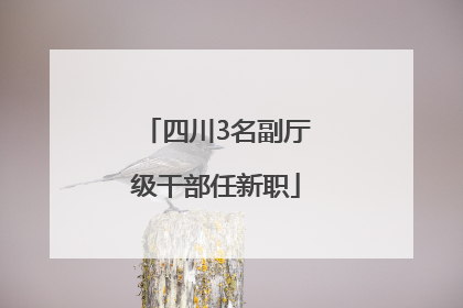 四川3名副厅级干部任新职