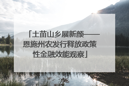 土苗山乡展新颜——恩施州农发行释放政策性金融效能观察