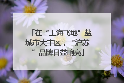 在“上海飞地”盐城市大丰区，“沪苏”品牌日益响亮