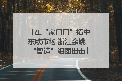 在“家门口”拓中东欧市场 浙江余姚“智造”组团出击