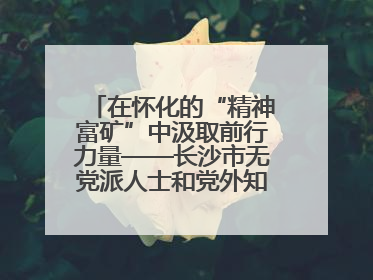 在怀化的“精神富矿”中汲取前行力量——长沙市无党派人士和党外知识分子代表人士培训班在怀化圆满举办
