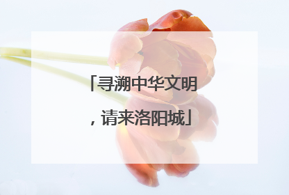寻溯中华文明，请来洛阳城