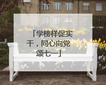 学榜样促实干，同心向党颂七一