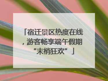 宿迁景区热度在线，游客畅享端午假期“末梢狂欢”