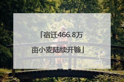 宿迁466.8万亩小麦陆续开镰