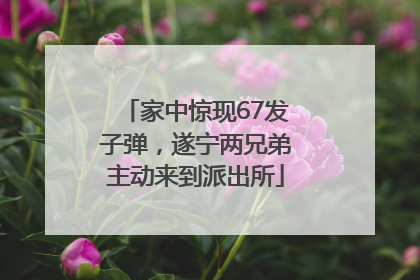 家中惊现67发子弹，遂宁两兄弟主动来到派出所