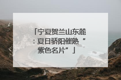 宁夏贺兰山东麓：夏日骄阳催熟“紫色名片”