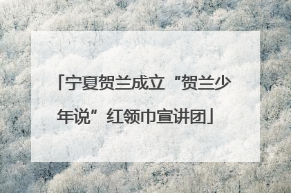 宁夏贺兰成立“贺兰少年说”红领巾宣讲团