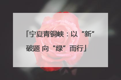 宁夏青铜峡：以“新”破题 向“绿”而行