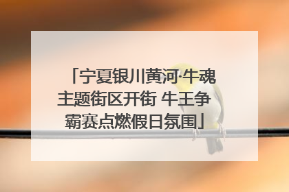 宁夏银川黄河·牛魂主题街区开街 牛王争霸赛点燃假日氛围