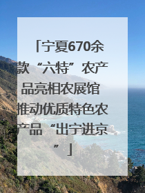 宁夏670余款“六特”农产品亮相农展馆 推动优质特色农产品“出宁进京”