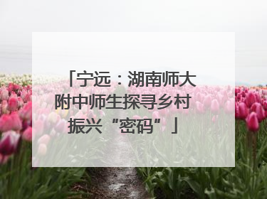 宁远：湖南师大附中师生探寻乡村振兴“密码”