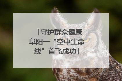 守护群众健康 阜阳一“空中生命线”首飞成功