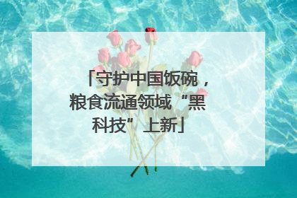 守护中国饭碗，粮食流通领域“黑科技”上新