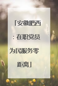 安徽肥西：在职党员为民服务零距离