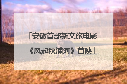 安徽首部新文旅电影《风起秋浦河》首映