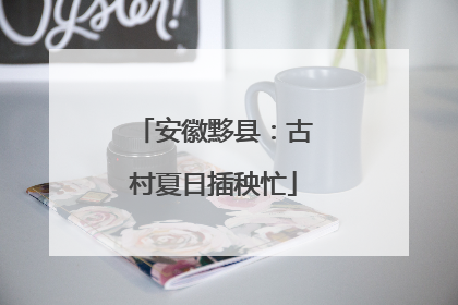 安徽黟县：古村夏日插秧忙