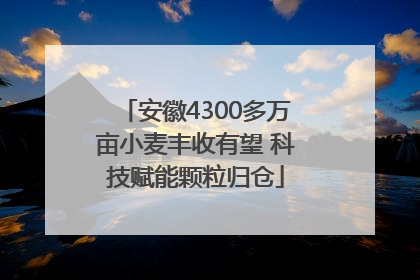 安徽4300多万亩小麦丰收有望 科技赋能颗粒归仓