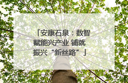 安康石泉：数智赋能兴产业 铺就振兴“新丝路”