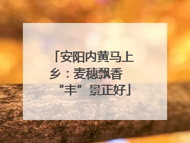 安阳内黄马上乡：麦穗飘香 “丰”景正好