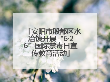 安阳市殷都区水冶镇开展“6·26”国际禁毒日宣传教育活动