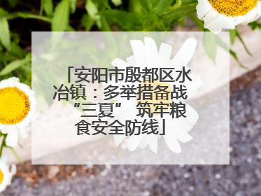 安阳市殷都区水冶镇：多举措备战“三夏” 筑牢粮食安全防线