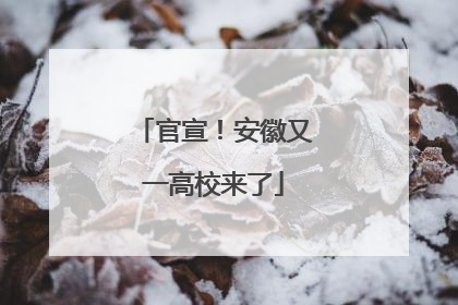 官宣！安徽又一高校来了