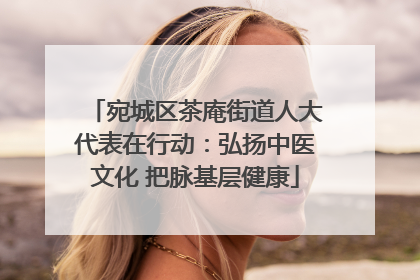 宛城区茶庵街道人大代表在行动：弘扬中医文化 把脉基层健康