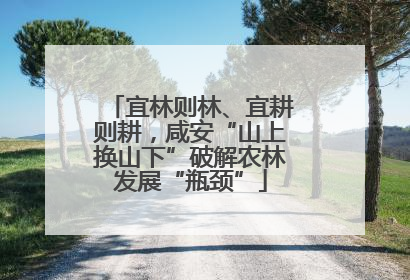 宜林则林、宜耕则耕，咸安“山上换山下”破解农林发展“瓶颈”