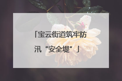 宝云街道筑牢防汛“安全堤”