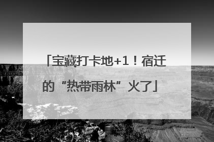 宝藏打卡地+1！宿迁的“热带雨林”火了