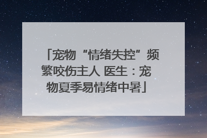 宠物“情绪失控”频繁咬伤主人 医生：宠物夏季易情绪中暑