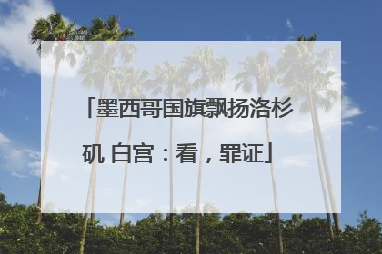 墨西哥国旗飘扬洛杉矶 白宫：看，罪证