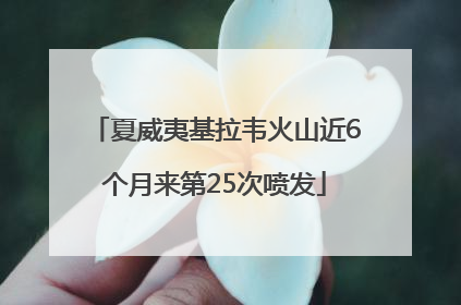夏威夷基拉韦火山近6个月来第25次喷发