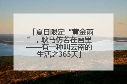 夏日限定“黄金雨”，耿马仿若在画里——有一种叫云南的生活之365天