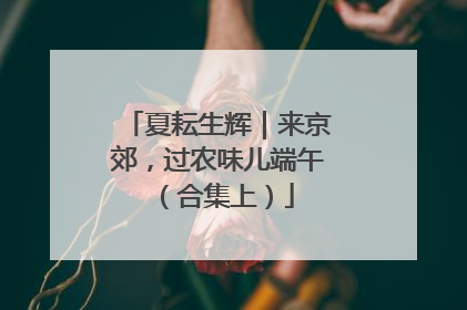 夏耘生辉｜来京郊，过农味儿端午（合集上）