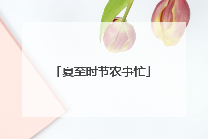 夏至时节农事忙
